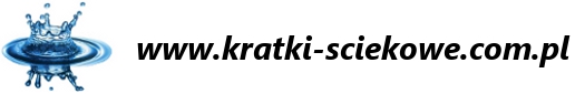 Kratki ściekowe - wpusty podłogowe - odwodnienia liniowe